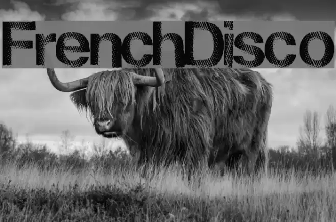 FrenchDisco Font examples