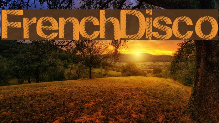 FrenchDisco Example 3