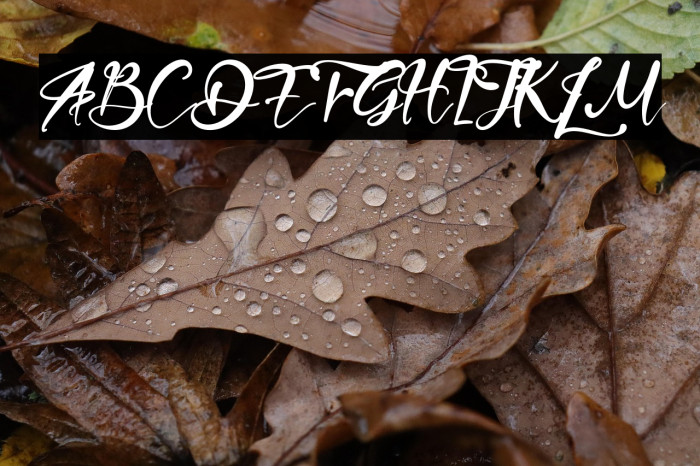 FrenchPolynesia Example 3