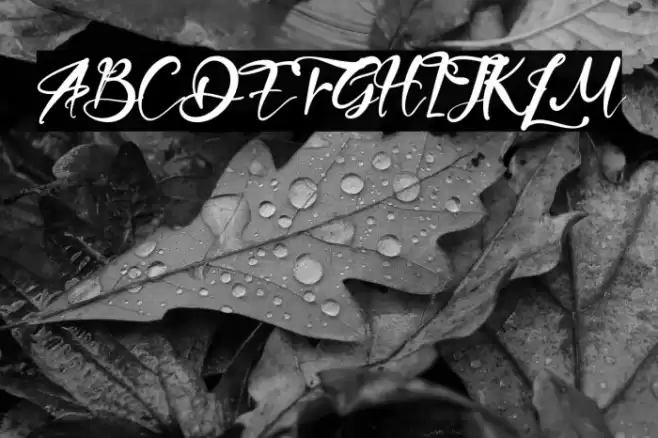 FrenchPolynesia Font examples