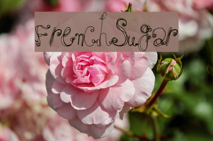FrenchSugar Font examples