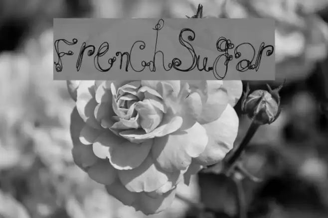 FrenchSugar Font examples
