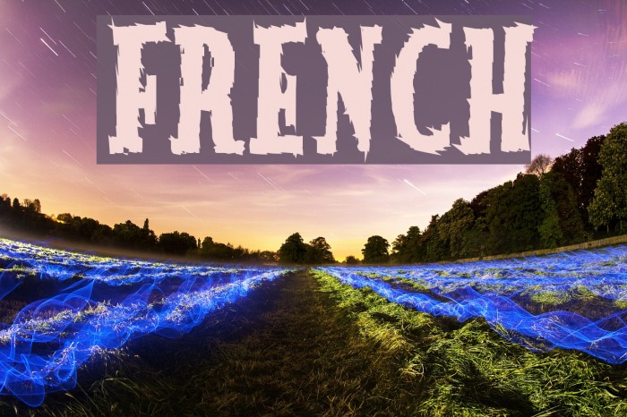 French Font examples