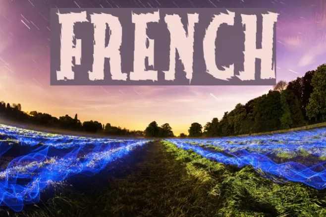 French Example 1