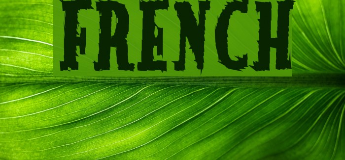 French Font examples
