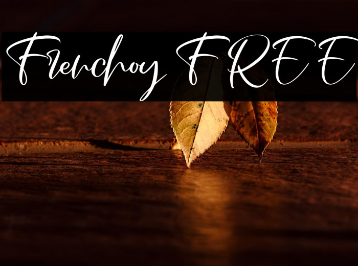 Frenchoy FREE Example 1