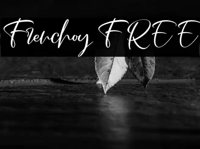 Frenchoy FREE Font examples
