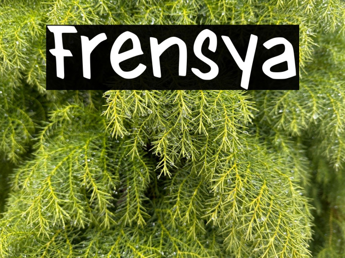 Frensya Example 1