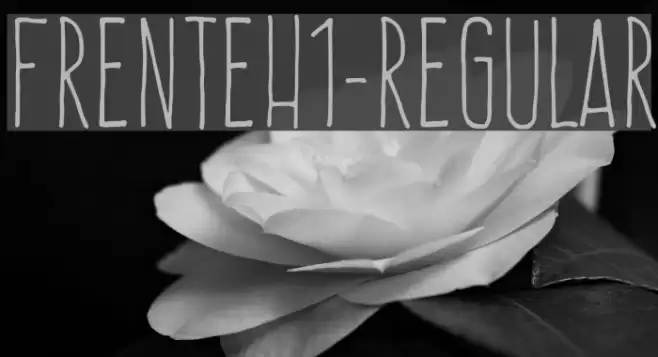 FrenteH1-Regular Font examples