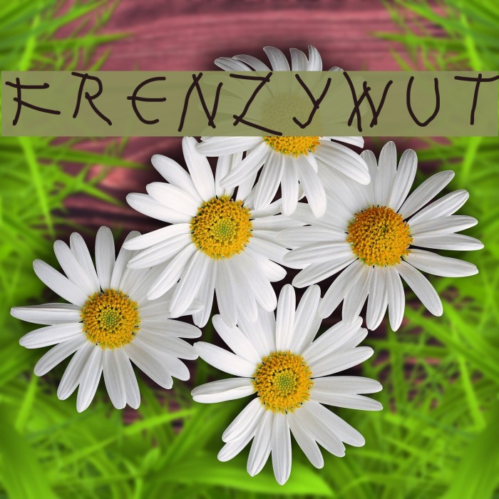 FrenzyWut Font examples