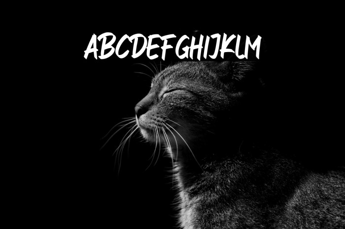 FresHot_DEMO Example 2