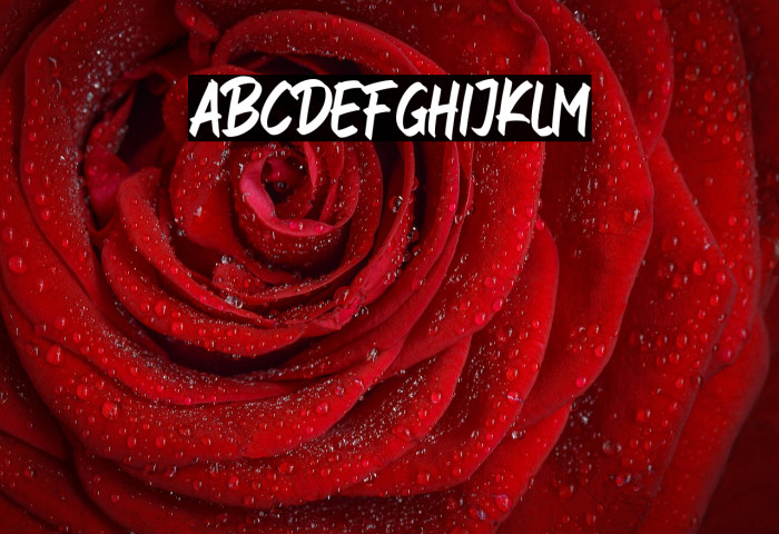 FresHot_DEMO Example 3