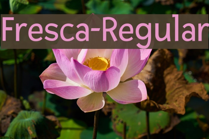 Fresca-Regular Font examples