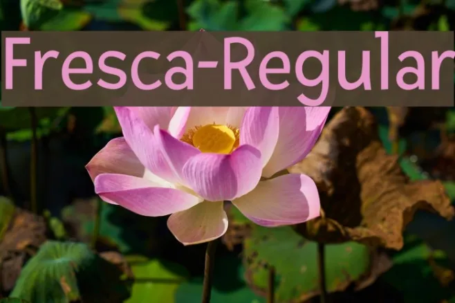 Fresca-Regular Example 3