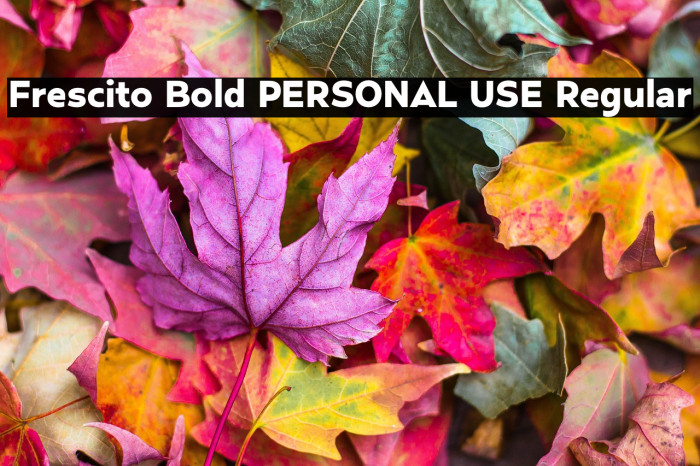 Frescito Bold PERSONAL USE Regular Example 1