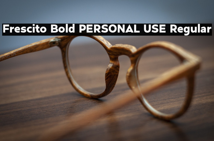 Frescito Bold PERSONAL USE Regular Example 2