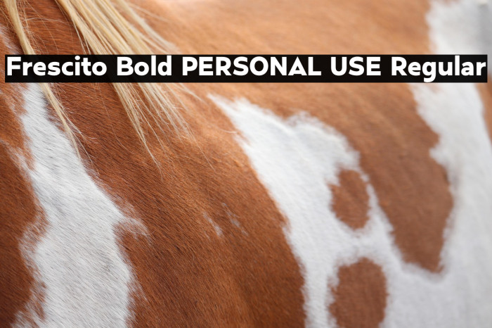Frescito Bold PERSONAL USE Regular Example 3