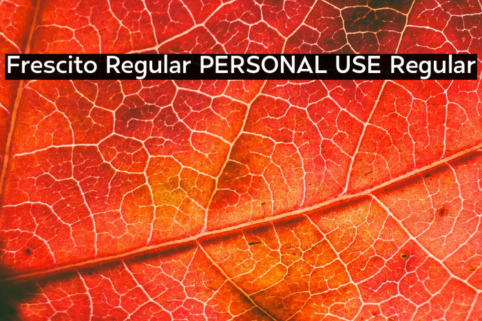 Frescito Regular PERSONAL USE Regular Example 2