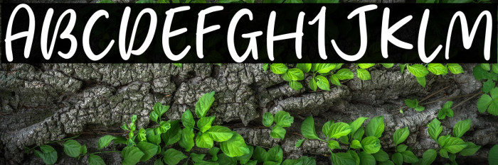 Fresh Berry Example 3