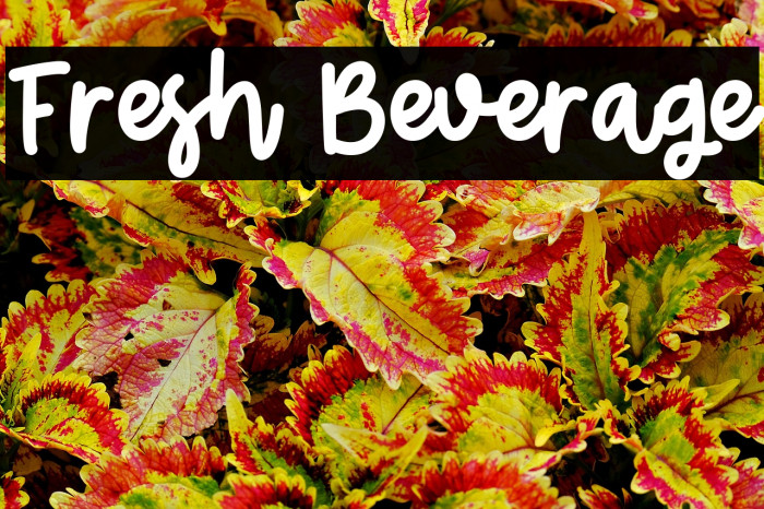 Fresh Beverage Example 2