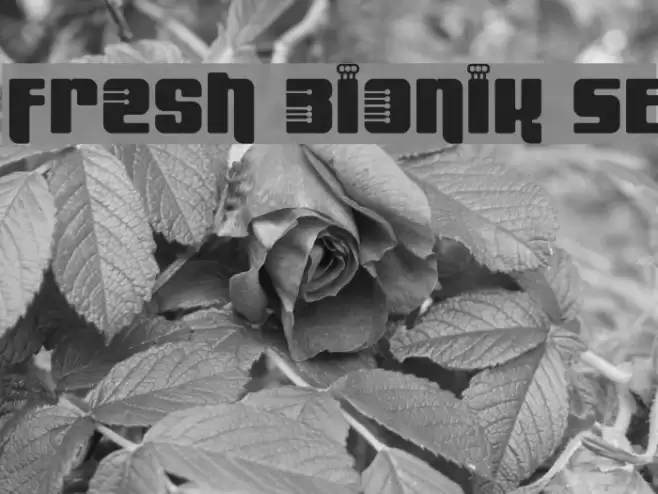 Fresh Bionik SE Font examples