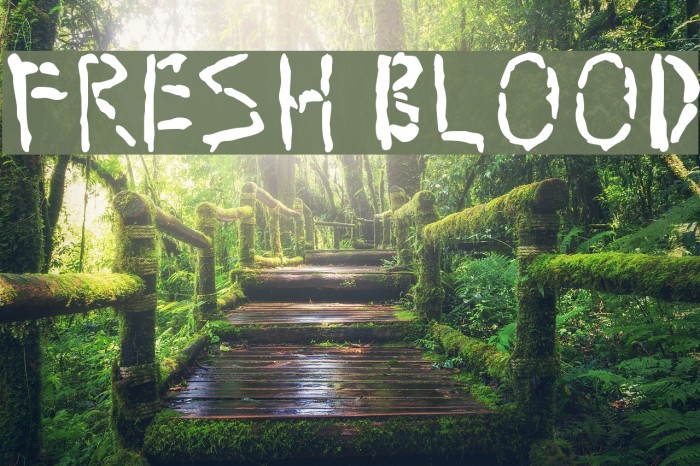 Fresh Blood Example 3