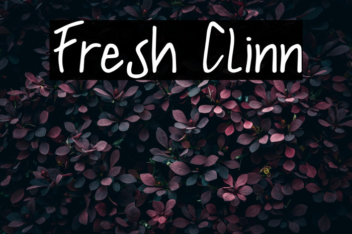 Fresh Clinn Example 1