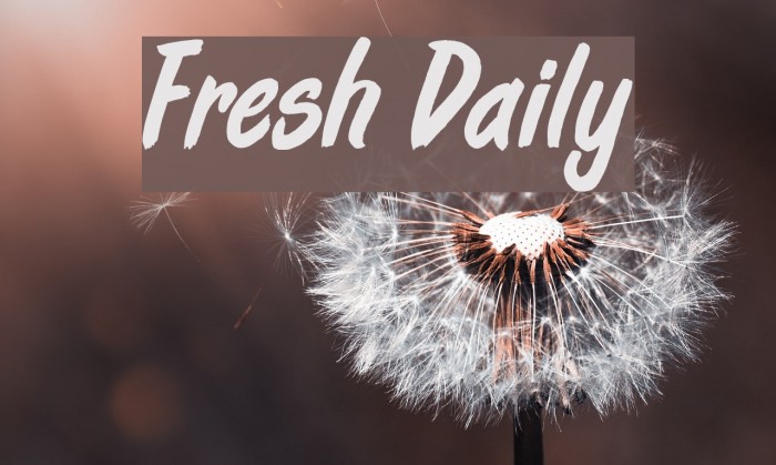 Fresh Daily Font examples