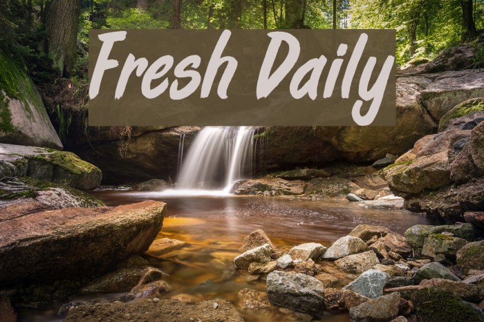 Fresh Daily Font examples