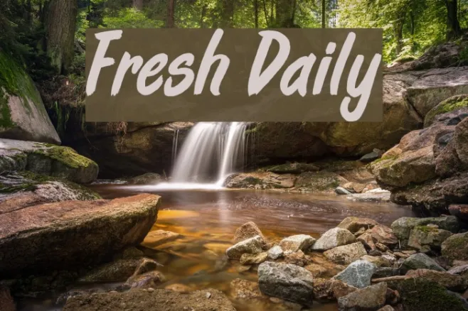 Fresh Daily Example 3