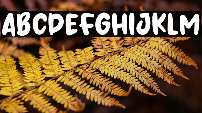 Fresh Fruit Example 2