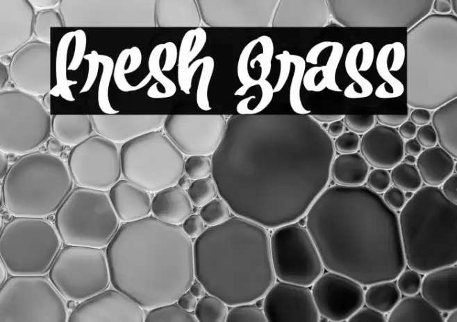 Fresh Grass Font examples