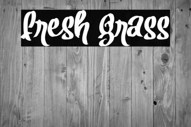 Fresh Grass Font examples