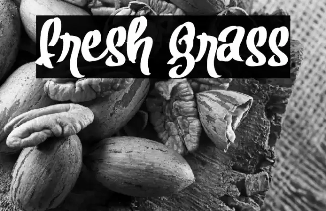 Fresh Grass Font examples