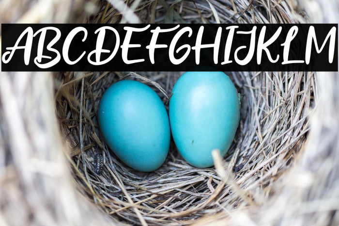 Fresh Guava Example 3