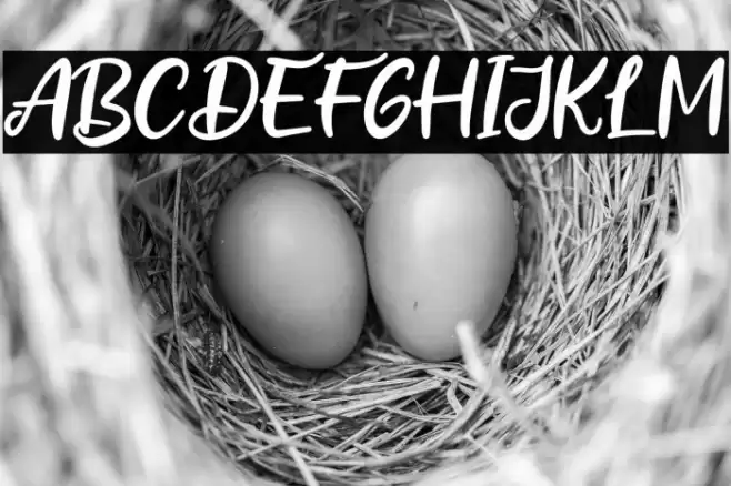 Fresh Guava Font examples