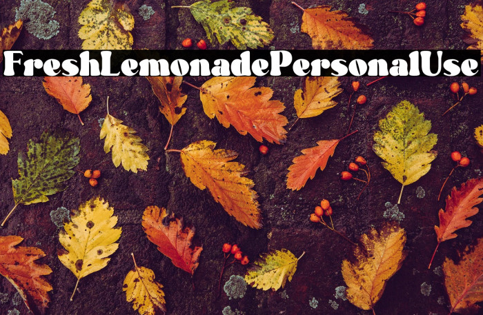 Fresh Lemonade - Personal Use Example 1