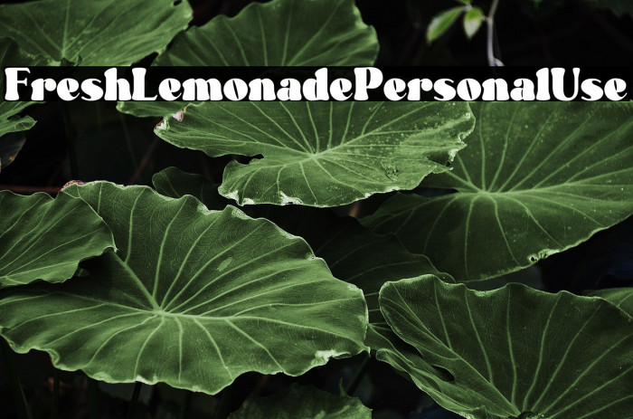 Fresh Lemonade - Personal Use Example 2