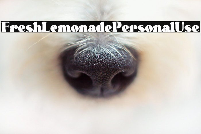 Fresh Lemonade - Personal Use Example 3