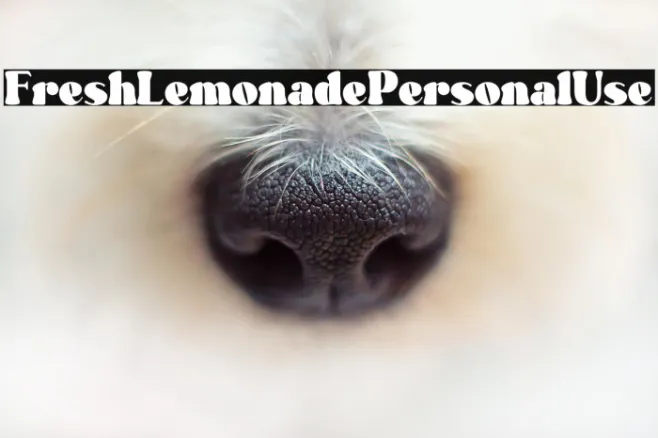 Fresh Lemonade - Personal Use Example 3