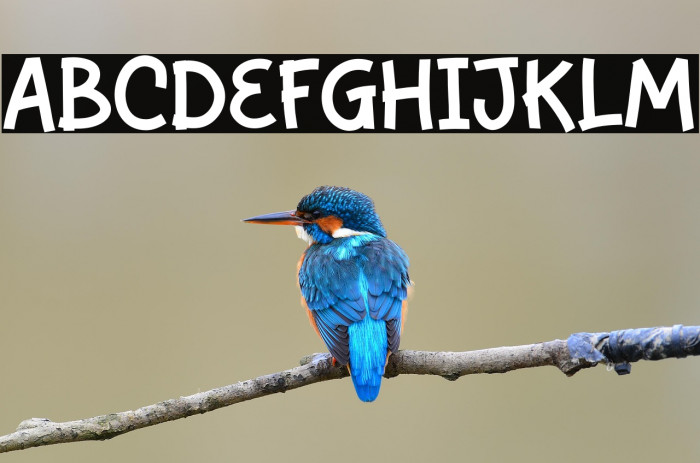 Fresh Lemons Personal Use Example 1