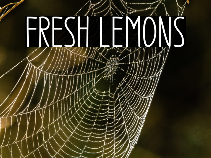Fresh Lemons Example 2
