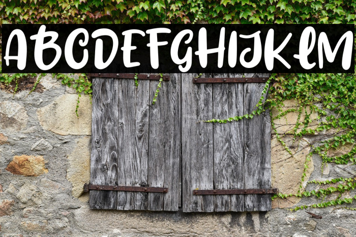 Fresh Lychee Example 3