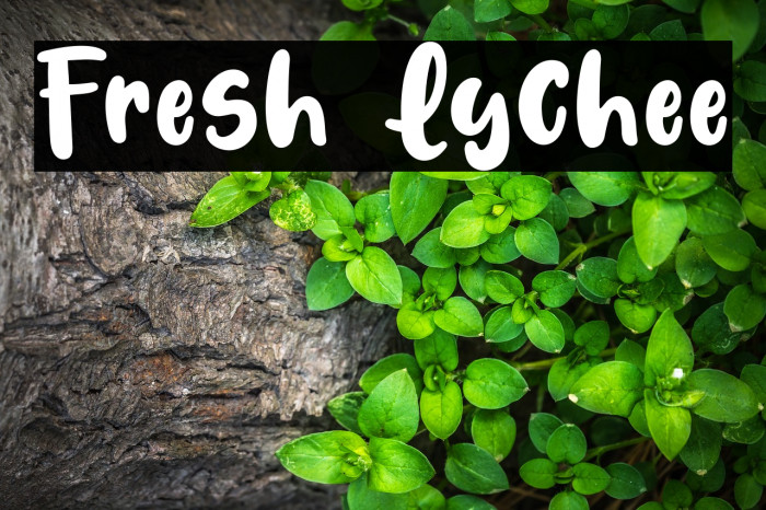 Fresh Lychee Polices examples