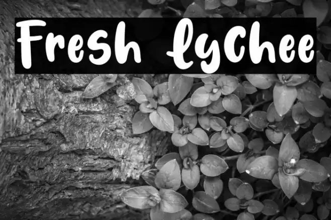 Fresh Lychee Fuentes examples