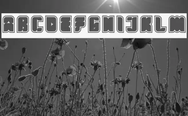 Fresh Mint-Inverse Font examples