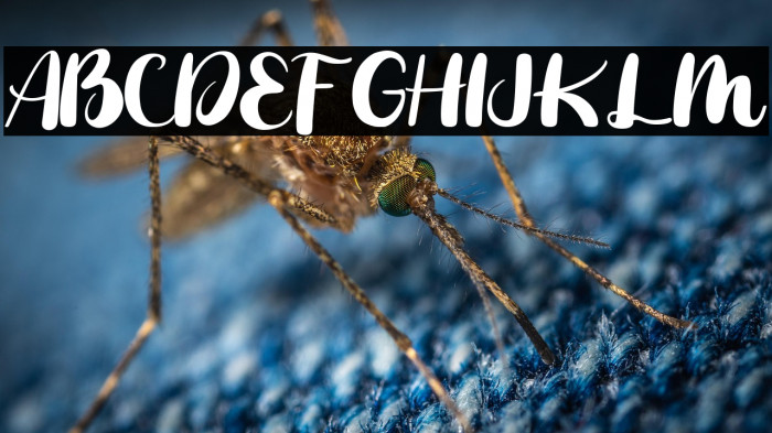 Fresh Mustard Example 1