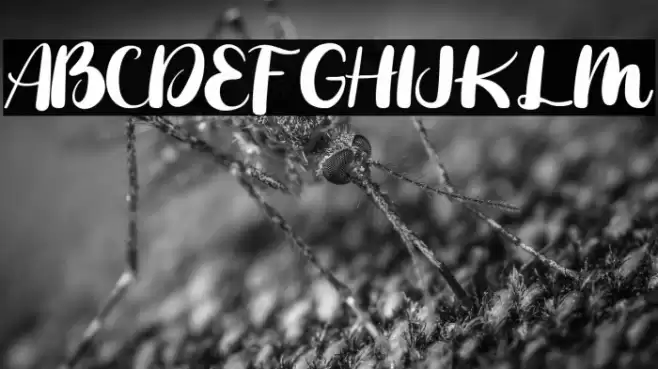 Fresh Mustard Font examples