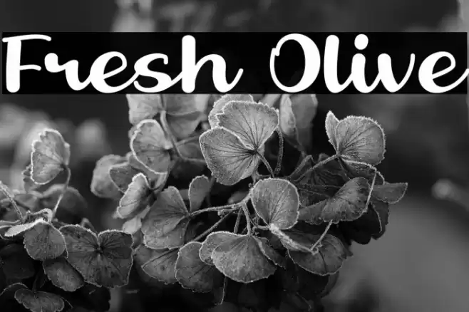 Fresh Olive Font examples