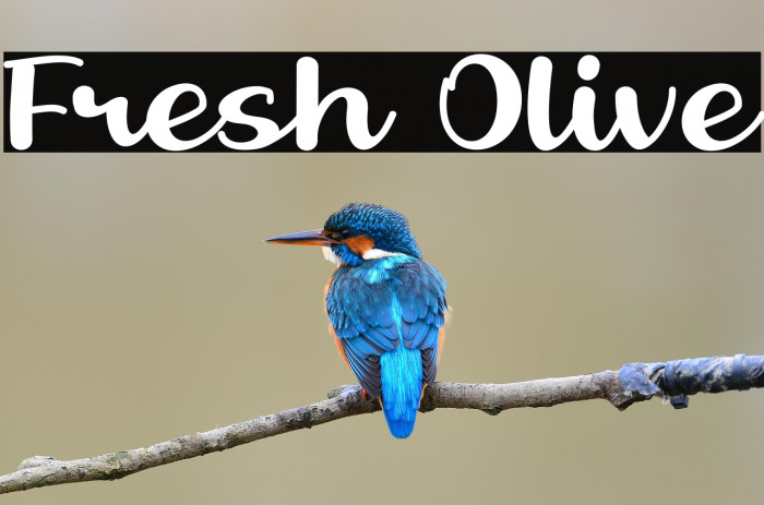 Fresh Olive Example 2